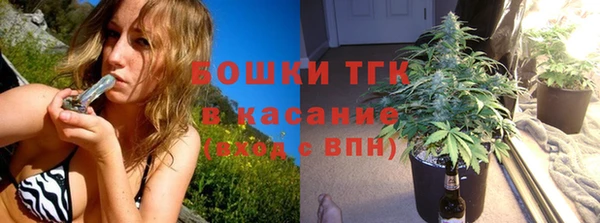 сатива Иннополис