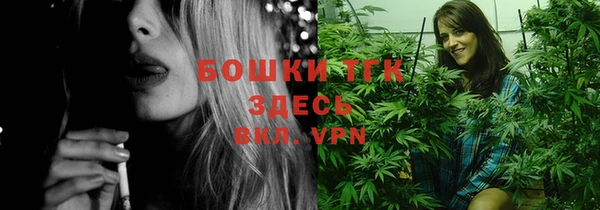 амф Зеленокумск