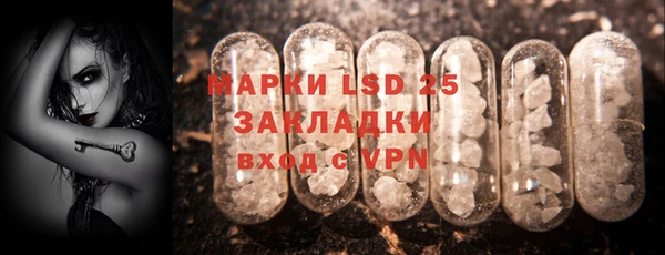 гидра Инта