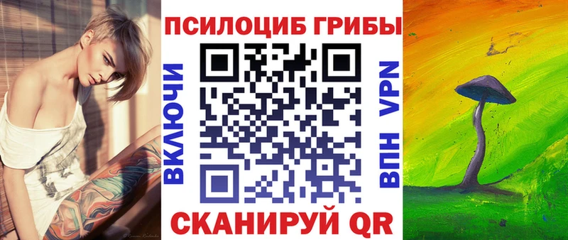 Купить где  Инсар  Галлюциногенные грибы Cubensis 